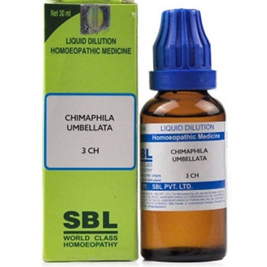 https://cdn.shopify.com/s/files/1/1857/6931/products/QiEY28rdR2.jpg?v=1635318904